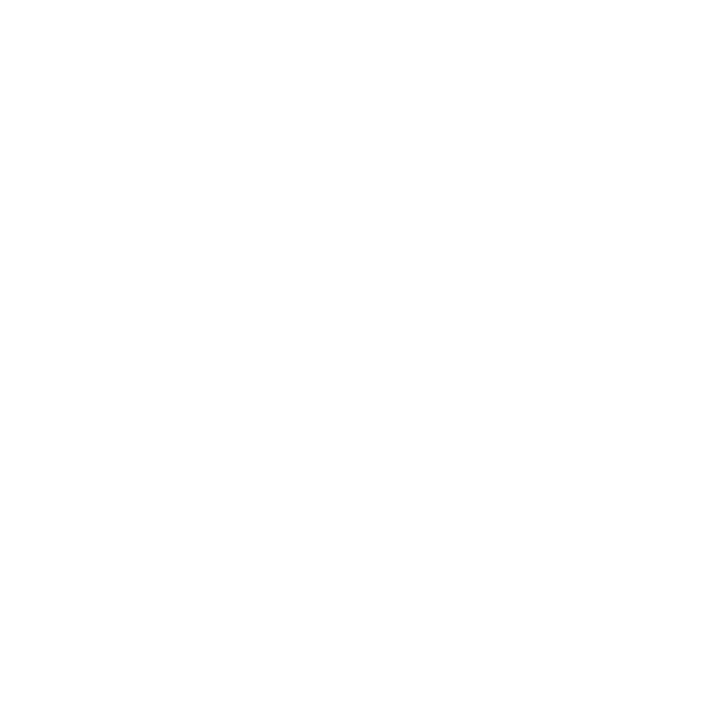 Roof cleaning icon